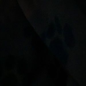 Meet your Posher, Ashlee